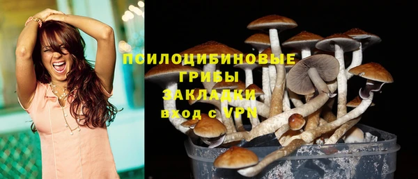 дурь Абаза
