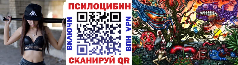 Галлюциногенные грибы мицелий  даркнет телеграм  Кисловодск  хочу  